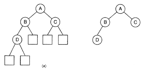 Двоичное дерево с показанными внешними узллами (а) и без них (б)